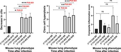 Mice with lung airway ciliopathy develop persistent Mycobacterium abscessus lung infection and have a proinflammatory lung phenotype associated with decreased T regulatory cells